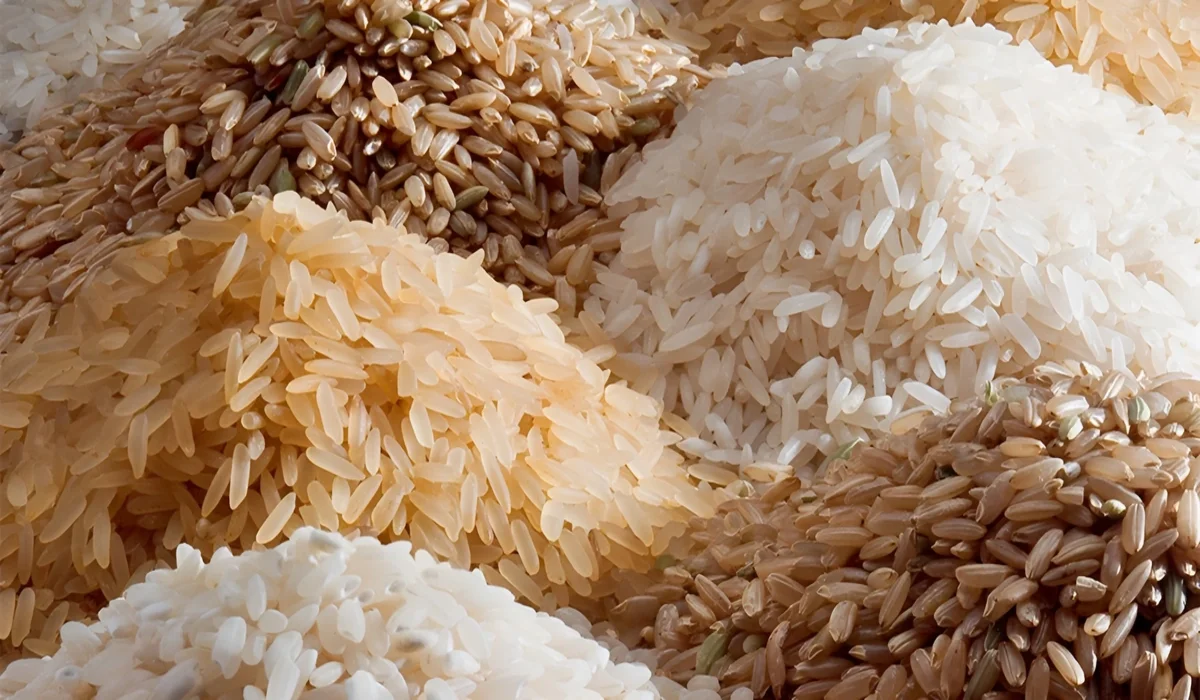 بكام العريض والرفيع؟.. سعر طن الأرز الشعير اليوم السبت في السوق 23-11-2024