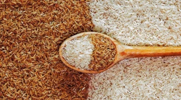 سعر طن الأرز الشعير عريض ورفيع الحبة وكم سجل الرز الأبيض في الأسواق؟