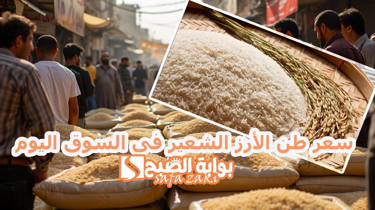 الطن بكام للتاجر والمستهلك.. سعر طن الأرز الشعير فى السوق اليوم وأسعار السلع التموينية لشهر ديسمبر 2024