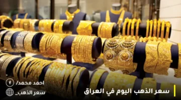 سعر طن الأرز الشعير والأبيض اليوم الثلاثاء 12 نوفمبر 2024. أسعار السلع التموينية
