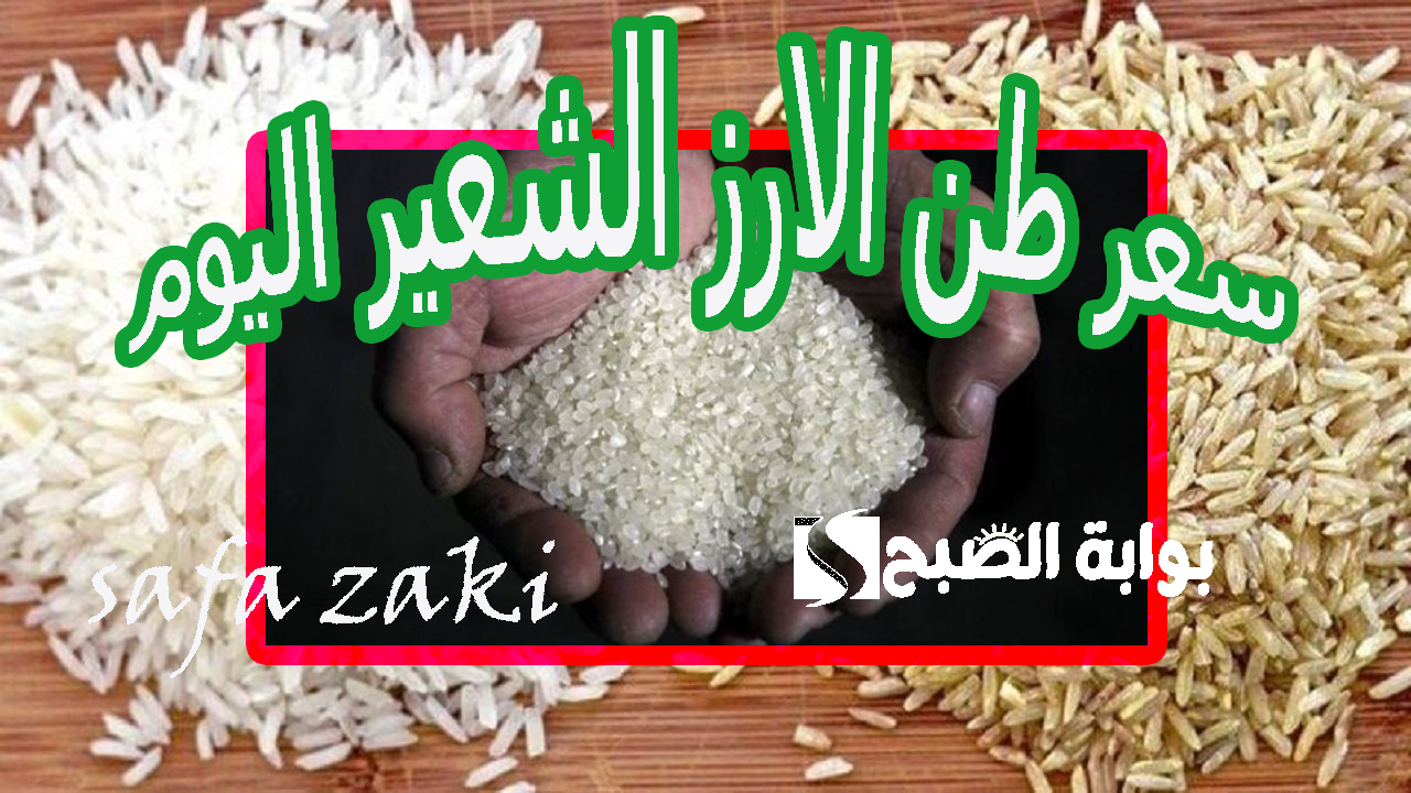 بكام حنشتري “رفيع وعريض الحبة”.. سعر طن الأرز الشعير اليوم الأربعاء 6 نوفمبر 2024 بكام شيكارة الأرز عند التاجر والتموين