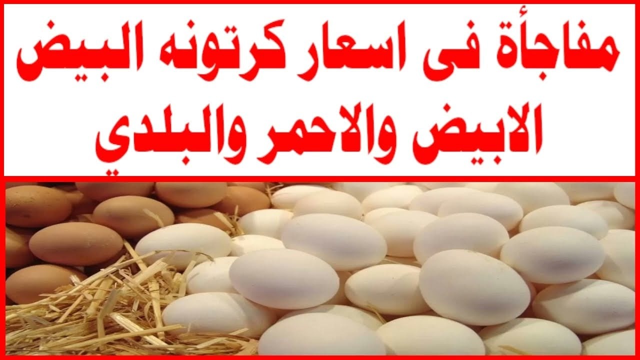 "ببورصة الدواجن وللمستهلك".. سعر كرتونة البيض الأبيض والأحمر والبلدي اليوم الأربعاء 13 نوفمبر 2024 2 “ببورصة الدواجن وللمستهلك”.. سعر كرتونة البيض الأبيض والأحمر والبلدي اليوم الأربعاء 13 نوفمبر 2024