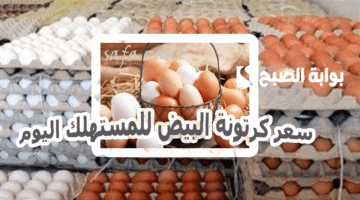 سعر كرتونة البيض للمستهلك اليوم