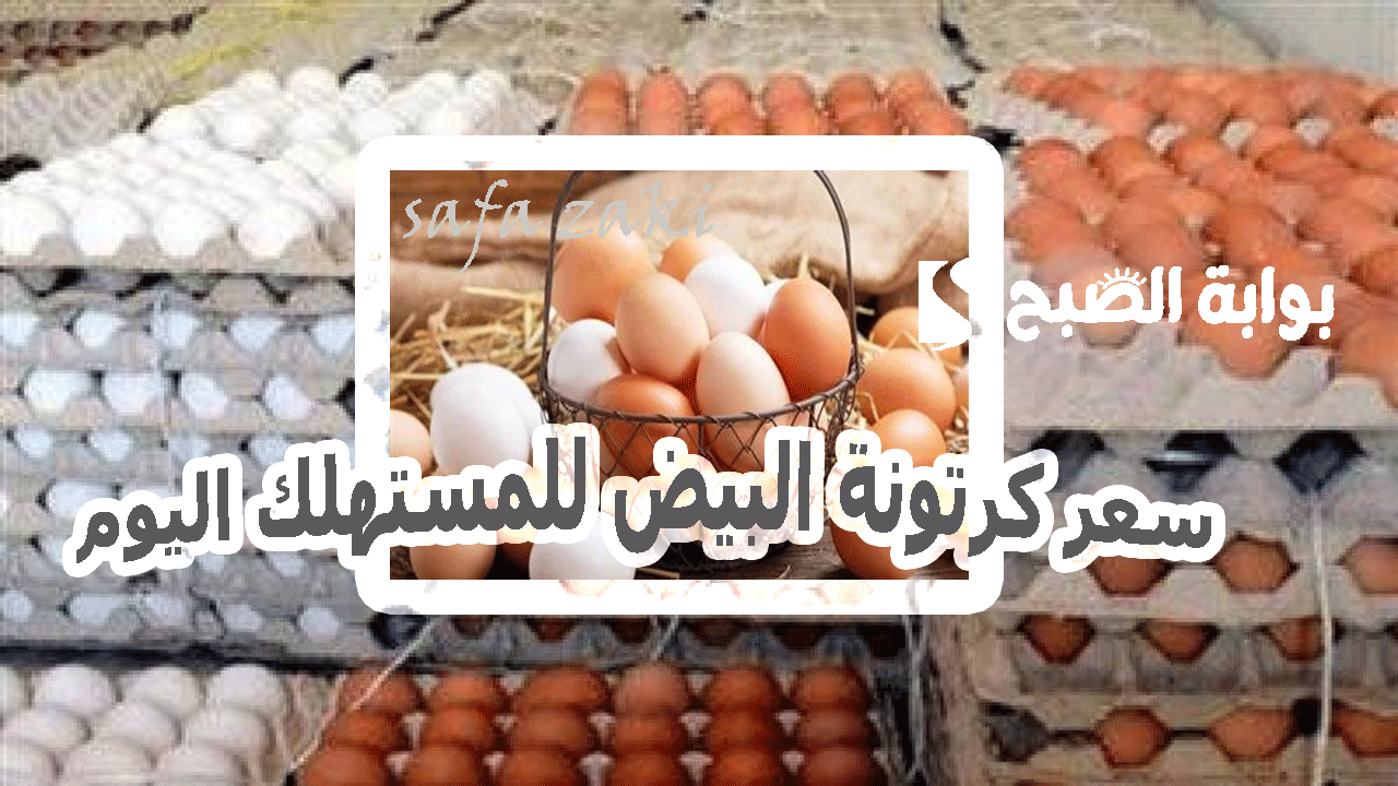 وصل كام «الأبيض والأحمر والبلدي» ..سعر كرتونة البيض للمستهلك اليوم الجمعة 8 نوفمبر 2024 في الأسواق والمحلات التجارية