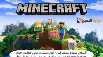 سكنات ماين كرافت 2024