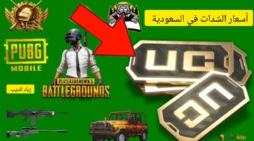 شحن شدات ببجي من الموقع الرسمي