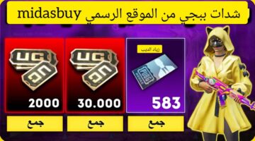 شدات ببجي 4