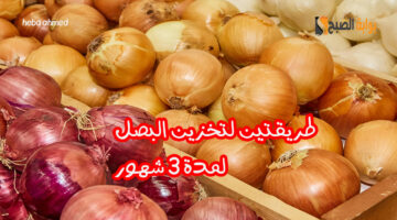 طريقة تخزين البصل