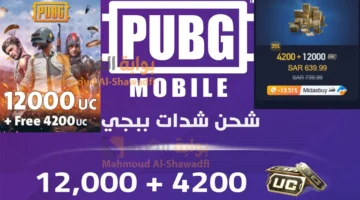طريقة شحن شدات ببجي موبايل 2024 PUBG UC. شحن 12000 4200 شدة بالأيدي ID بخطوات آمنة