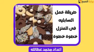 طريقة عمل السابليه فى المنزل
