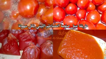 طريقة عمل صلصة الطماطم البيتي بكل سهولة في المنزل. أحلى وأوفر من الجاهزة