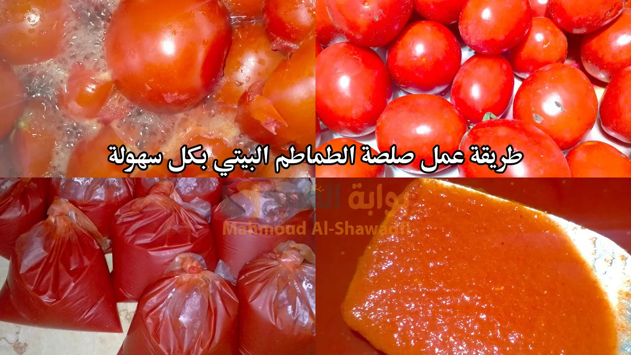 طريقة عمل صلصة الطماطم البيتي بكل سهولة في المنزل.. بتكات أول مرة تعرفيها أحلى من الجاهزة