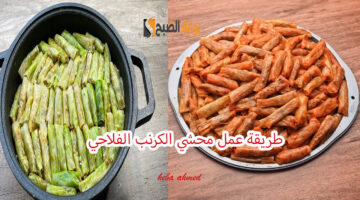 طريقة عمل محشي الكرنب الفلاحي