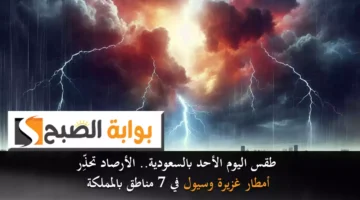 طقس اليوم الأحد بالسعودية. الأرصاد تحذِّر من الأمطار الغزيرة والسيول في 7 مناطق بالمملكة
