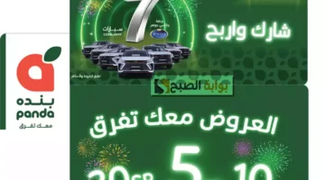 عروض بنده