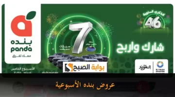 عروض بنده الأسبوعية