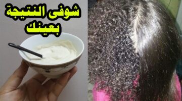 فرد نشا