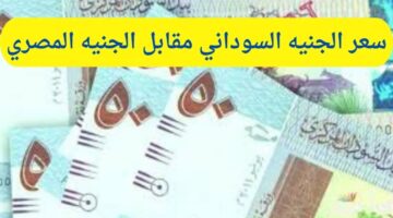 قانون التصالح 6 1280x720 1