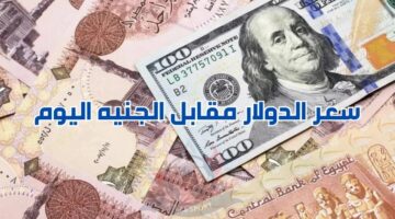 قفزة تاريخية في سعر صرف الدولار مقابل الجنيه المصري اليوم الاثنين 4 نوفمبر 2024