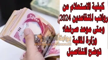 كيفية الاستعلام عن رواتب المتقاعدين 2024 ومتى موعد صرفها؟. وزارة المالية توضح التفاصيل