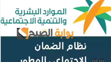 متى ينزل الضمان المطور