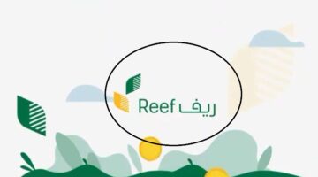 متى ينزل دعم ريف لدفعة نوفمبر 1446