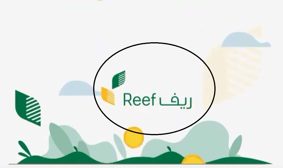 متى ينزل دعم ريف لدفعة نوفمبر 1446 وهذه خطوات الاستعلام