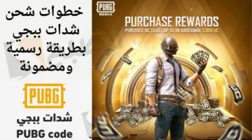 مجموعة متنوعة من الأسلحة والمعدات. طريقة تنزيل لعبة ببجي PUBG موبايل للاندرويد والايفون بجرافيك عالي الجودة 1