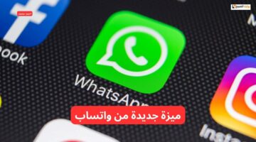 مسودات الرسائل. ميزة جديدة من واتساب باللون الأخضر