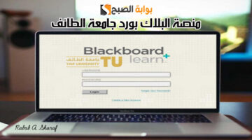 منصة البلاك بورد جامعة الطائف