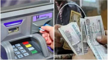 موعد صرف مرتبات شهر نوفمبر 2024 وفقًا لوزارة المالية