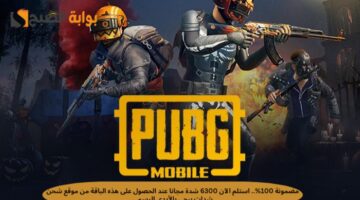 موقع شحن شدات ببجي بالايدي
