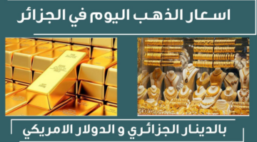 نص فقرتك 2024 10 18T070426.596 1
