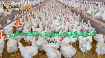 نهي402