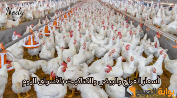 نهي438