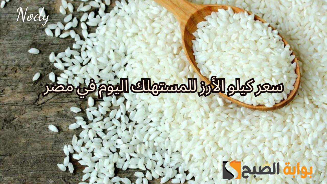 سعر طن الأرز الشعير عريض ورفيع الحبة اليوم في السوق المحلي وللمستهلك