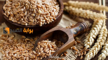 نهي466