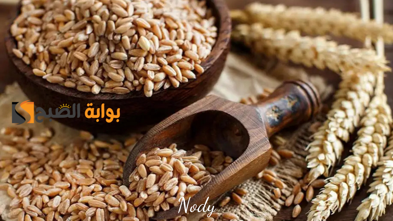 سعر طن الأرز الشعير اليوم الأحد 10 نوفمبر 2024 في السوق المحلي الحبة الرفيعة والعريضة 5 سعر طن الأرز الشعير اليوم الأحد 10 نوفمبر 2024 في السوق المحلي الحبة الرفيعة والعريضة