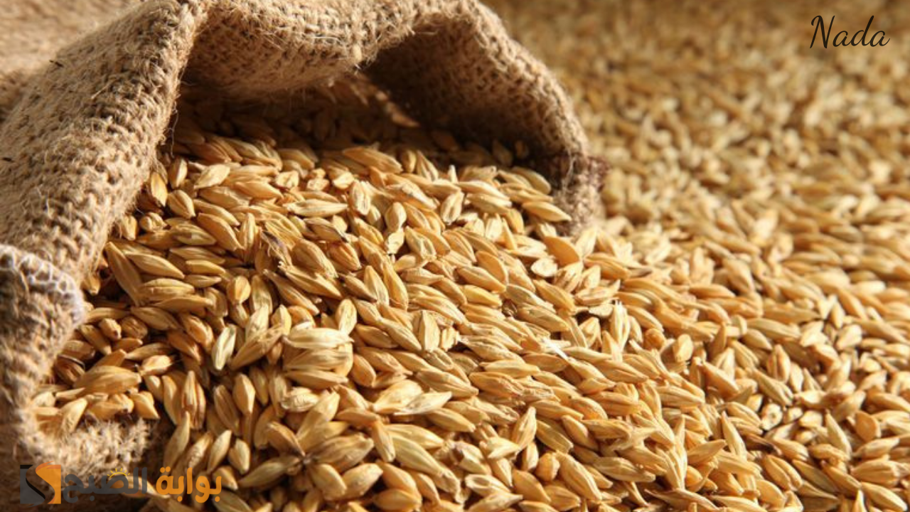 سعر طن الأرز الشعير في السوق المحلي اليوم وجميع المنافذ للمستهلك 5 سعر طن الأرز الشعير في السوق المحلي اليوم وجميع المنافذ للمستهلك