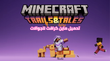 نهي523
