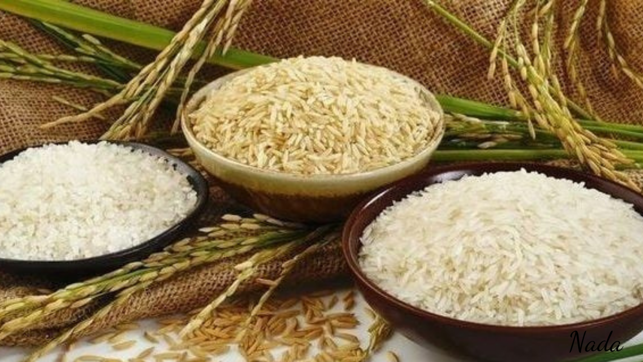سعر طن الأرز الشعير في الأسواق اليوم رفيع وعريض الحبة