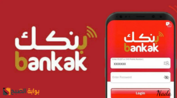 نهي531