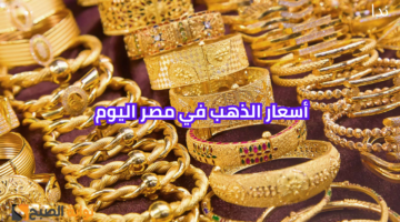 نهي581