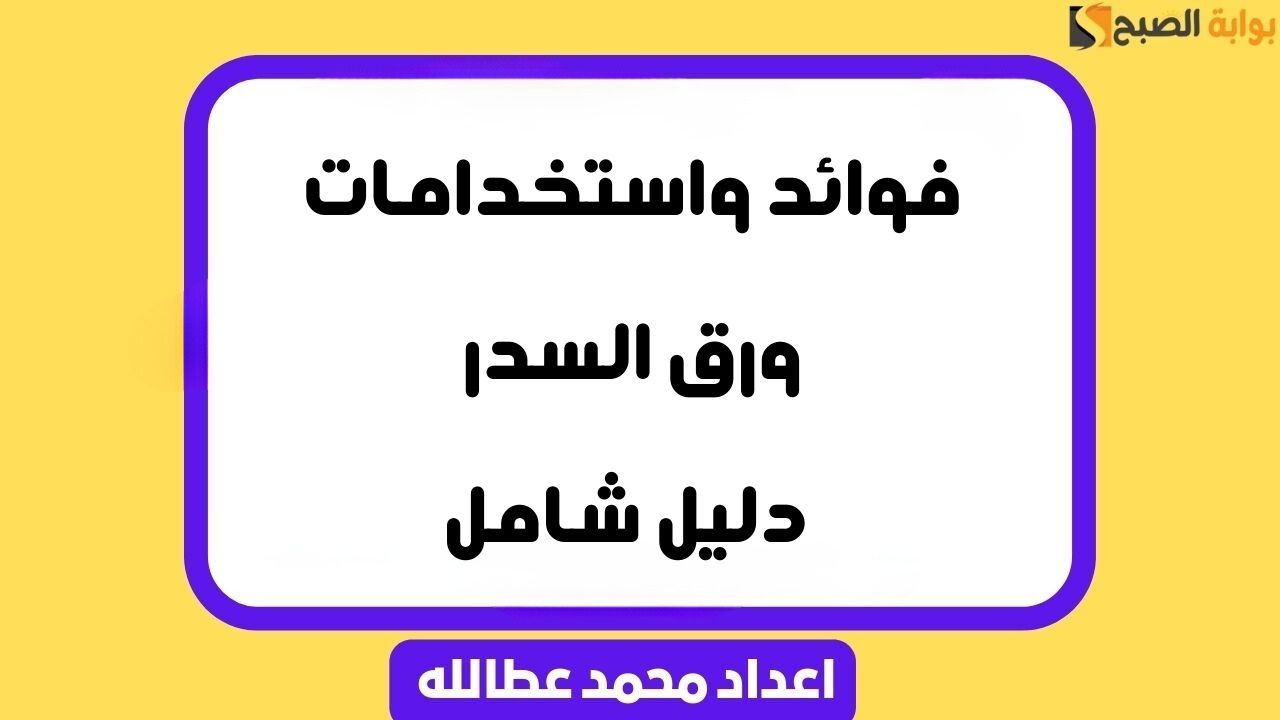 فوائد واستخدامات ورق السدر .. دليل شامل 8 فوائد واستخدامات ورق السدر .. دليل شامل