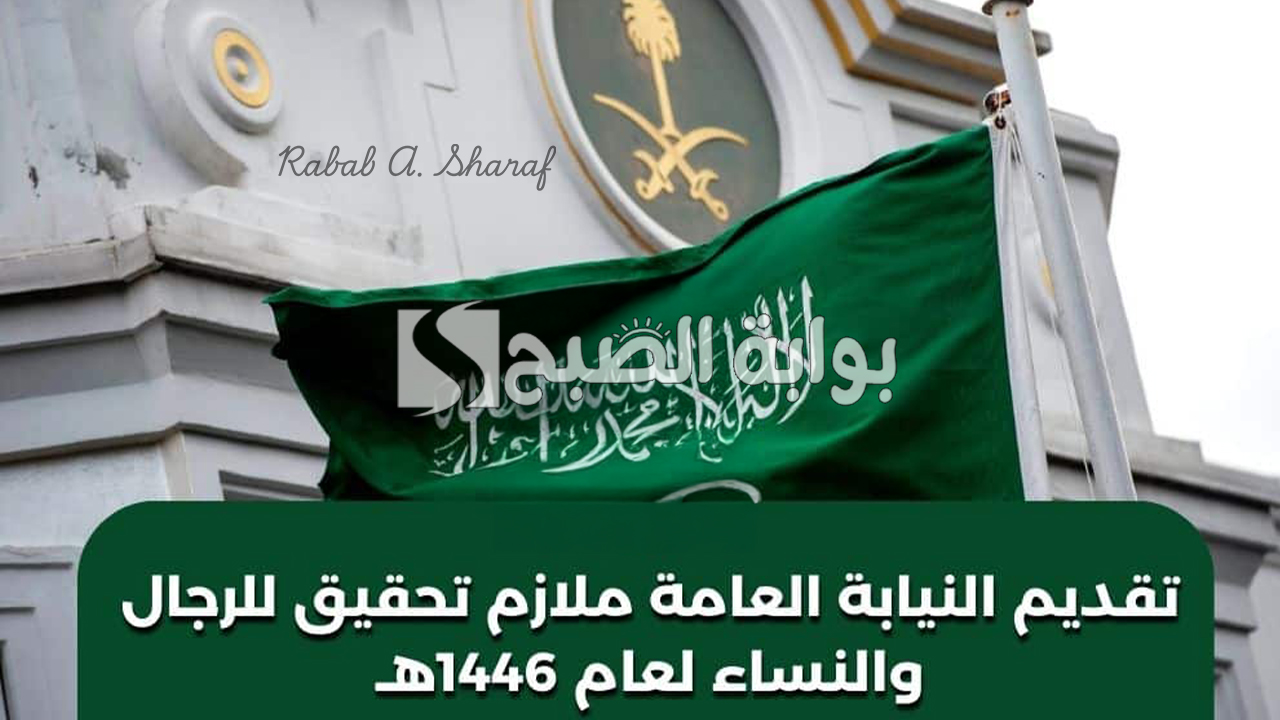 “عبر jobapply.pp.gov.sa”.. كيفية التقديم في وظائف النيابة العامة 1446 ملازم تحقيق للرجال والنساء