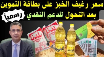٢٠٢٤١١٠٩ ١٥٤٧٢٤