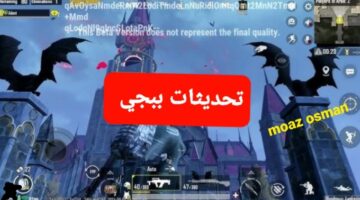 ٢٠٢٤١١١١ ١٩١٠٠٦