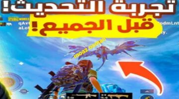 ٢٠٢٤١١١١ ١٩١١٤١