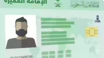 02 08 24 468577452