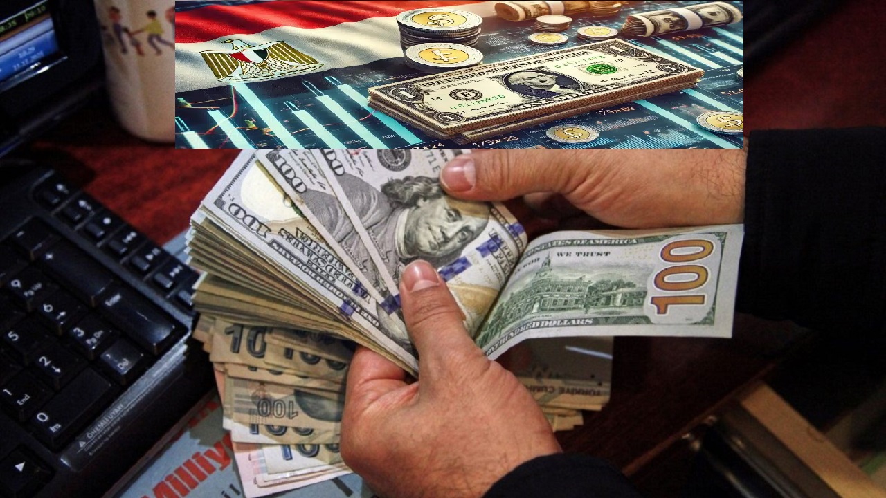 أعلى سعر للدولار “EGP / USD”.. كام سعر الدولار مقابل الجنيه المصري اليوم الأربعاء 4/12/2024  بالبنوك العاملة في مصر